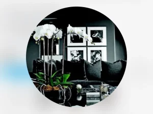 調布オブロングラウンジ 公式Instagram