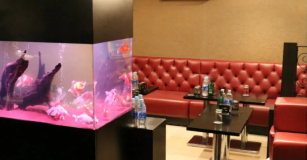 津田沼クラウンのメインフロア 店内内装