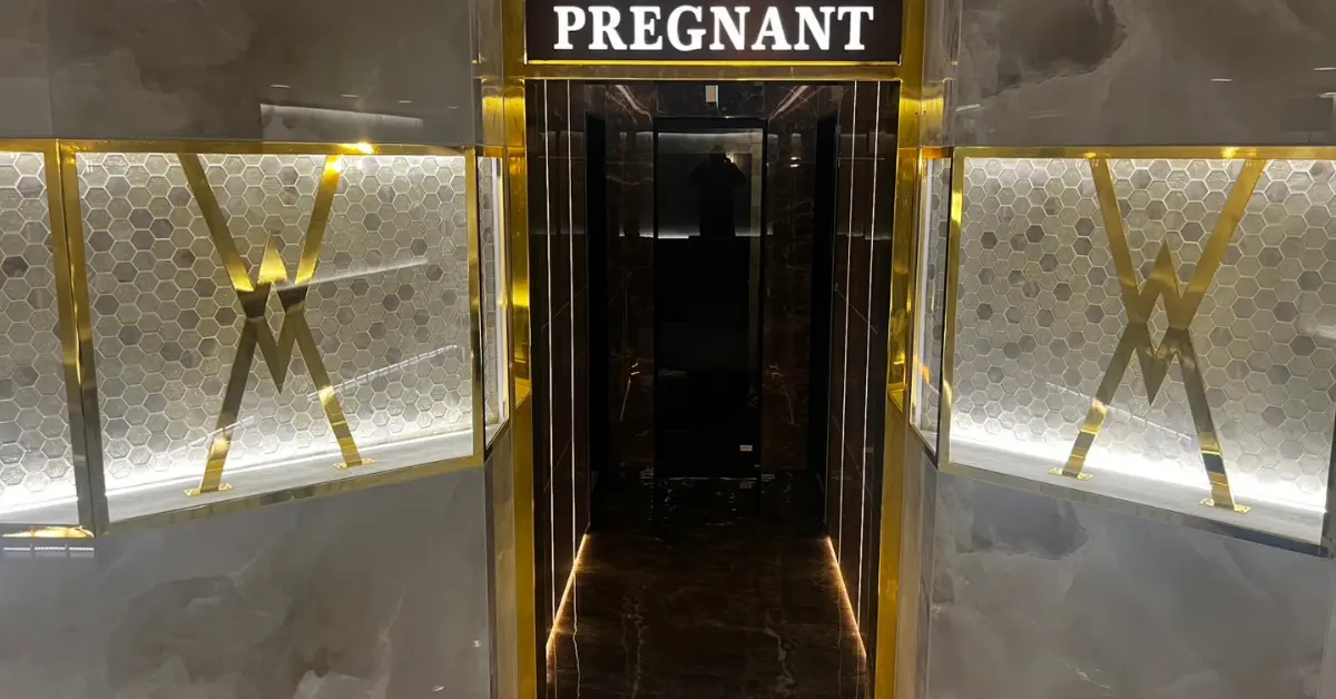 千葉富士見町プレグナント（girls Bar Pregnant）のエントランスを撮影した店内内装
