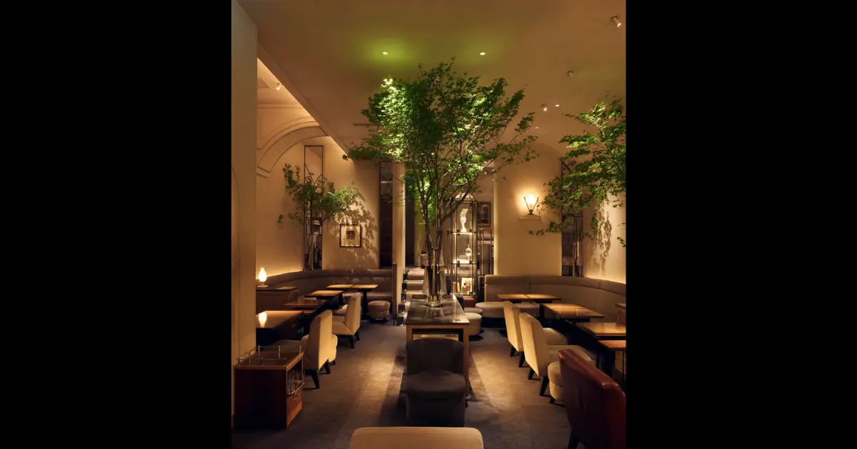 銀座ヨシ（予詩）のメインフロアを通路側から撮影した店内内装