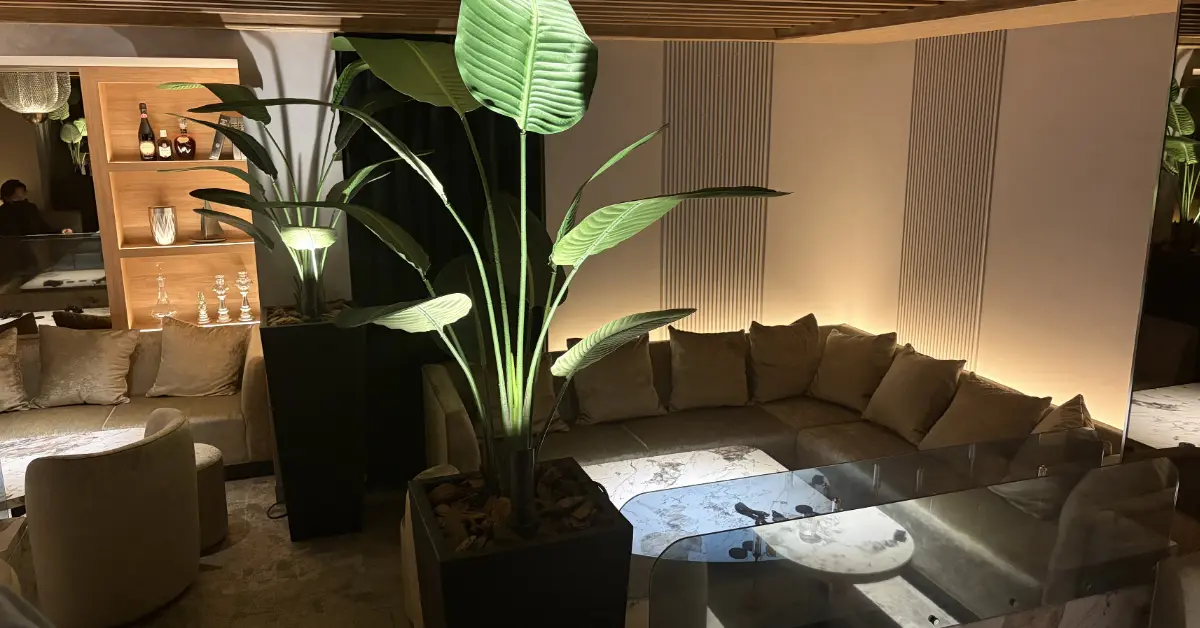 ｛六本木703（ナナマルサン）｝のメインフロアをソファ側から撮影した店内内装