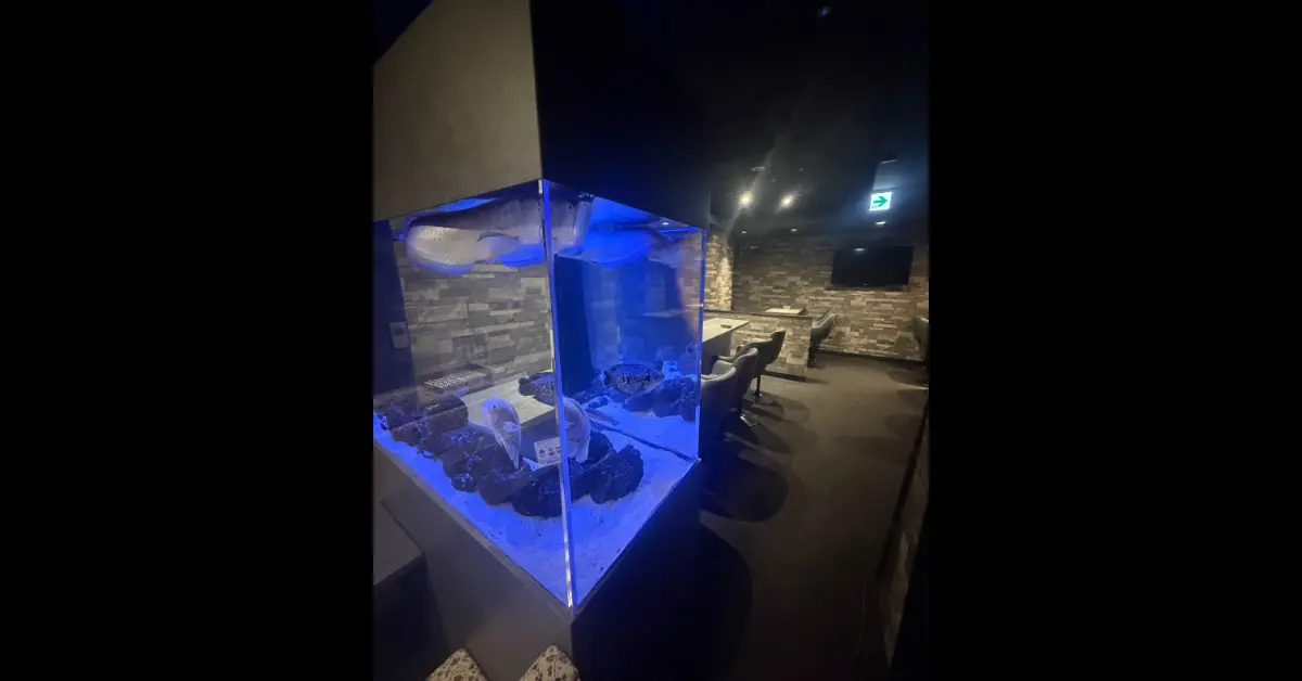 松戸スイート(Girls Bar Sweet)の水槽を撮影した店内内装