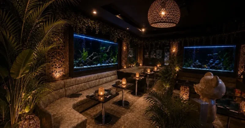 上野 ジョー(JYO Bali Lounge)のメインフロアを撮影した店内内装