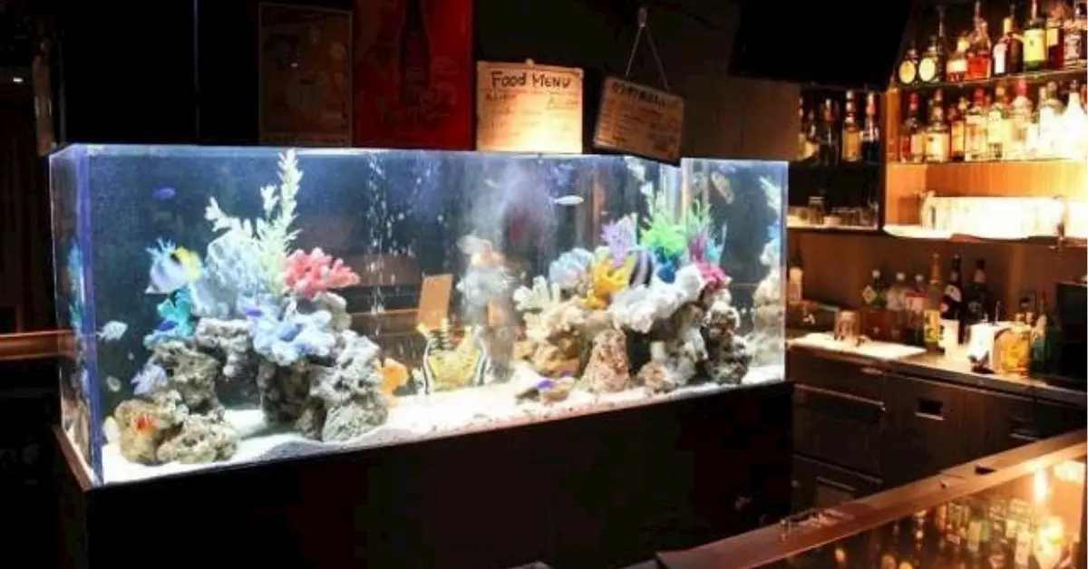 新宿歌舞伎町アズ(Girl's Bar A's)の水槽を撮影した店内内装