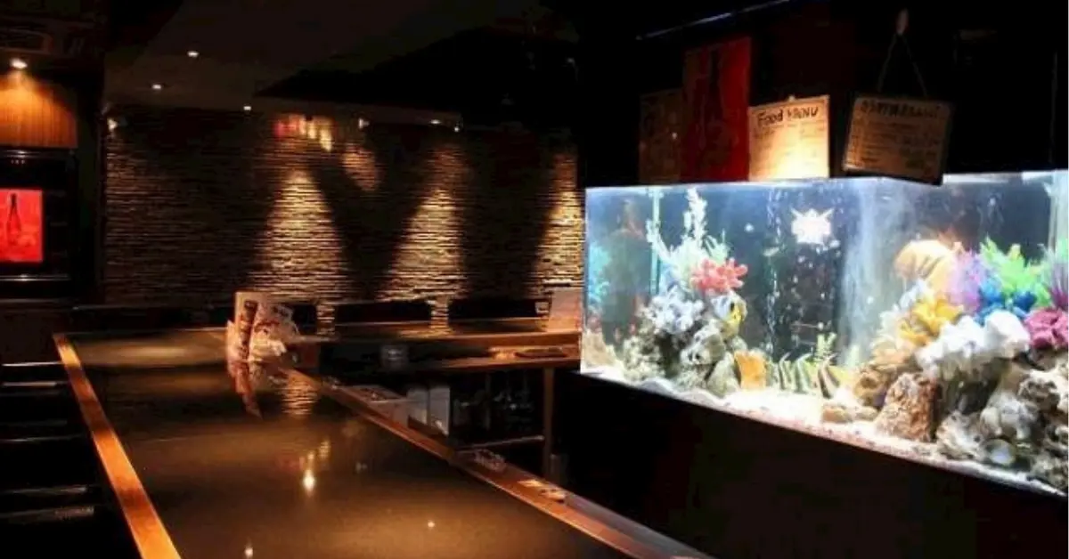 新宿歌舞伎町アズ(Girl's Bar A's)のカウンターを撮影した店内内装