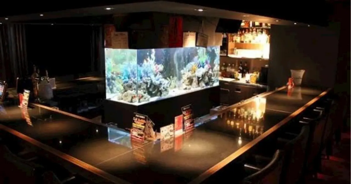 新宿歌舞伎町アズ(Girl's Bar A's)のメインフロアを撮影した店内内装